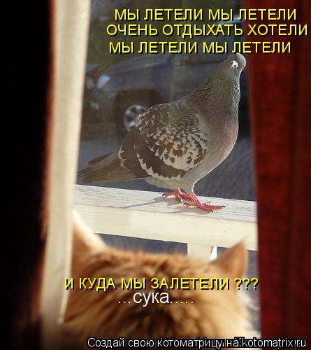МЫ ЛЕТЕЛИ МЫ ЛЕТЕЛИ ОЧЕНЬ ОТДЫХАТЬ ХОТЕЛИ МЫ ЛЕТЕЛИ МЫ ЛЕТЕЛИ И КУДА МЫ ЗАЛЕТЕЛИ ???... Котоматрица: МЫ ЛЕТЕЛИ МЫ ЛЕТЕЛИ ОЧЕНЬ ОТДЫХАТЬ ХОТЕЛИ МЫ ЛЕТЕЛИ МЫ ЛЕТЕЛИ И КУДА МЫ ЗАЛЕТЕЛИ ???
