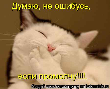 Думаю, не ошибусь, если промолчу!!!!.... Котоматрица: Думаю, не ошибусь, если промолчу!!!!.
