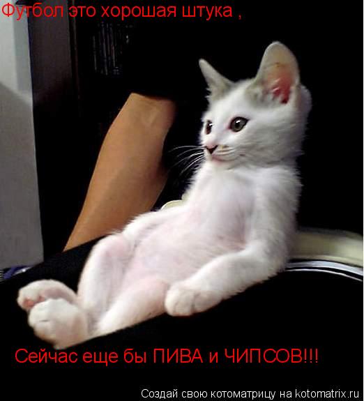 Футбол это хорошая штука , сейчас еще Футбол это хорошая штука , ... Котоматрица: Футбол это хорошая штука , сейчас еще Футбол это хорошая штука , сейчас еще бы пива и чипсы
