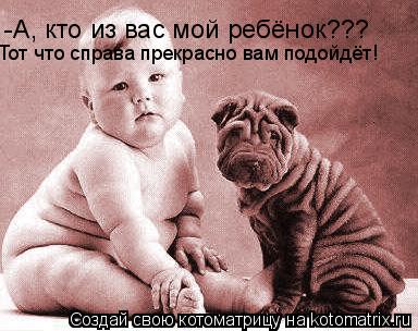 -А, кто из вас мой ребёнок??? Тот что справа прекрасно вам подойдёт!... Котоматрица: -А, кто из вас мой ребёнок??? Тот что справа прекрасно вам подойдёт!