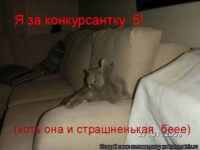 Котоматрица: Я за конкурсантку №5! (хоть она и страшненькая, беее)