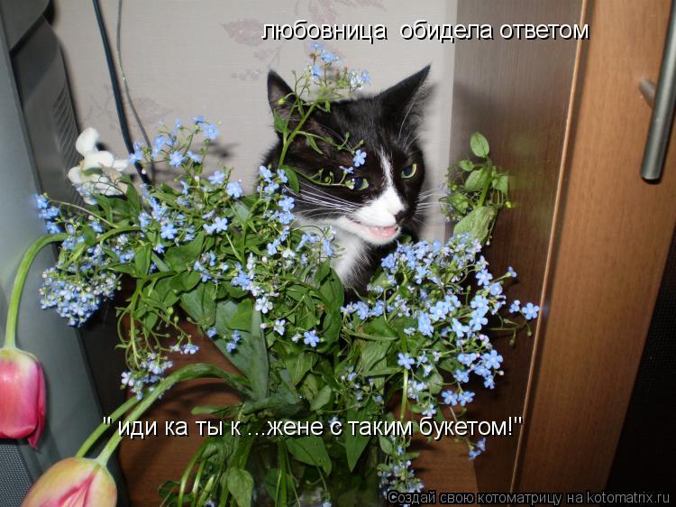 Несу Тебе Букетик Через Интернетик