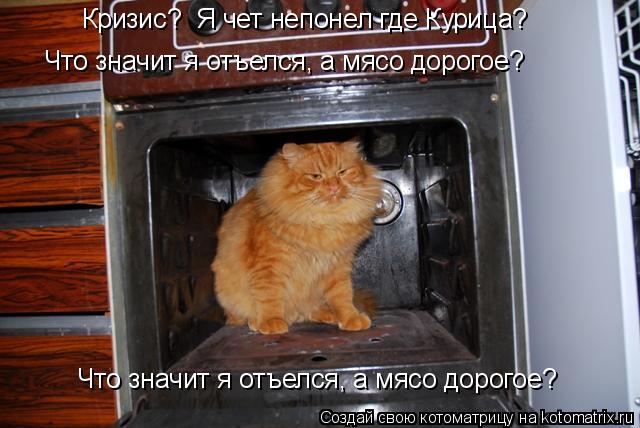 Кризис? Я чет непонел где Курица? Что значит я отъелся, а мясо дорогое? Что значит я отъелся, а мясо... Котоматрица: Кризис? Я чет непонел где Курица? Что значит я отъелся, а мясо дорогое? Что значит я отъелся, а мясо дорогое?
