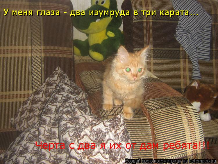 У меня глаза - два изумруда в три карата... Черта с два я их от дам ребята!!!... Котоматрица: У меня глаза - два изумруда в три карата... Черта с два я их от дам ребята!!!