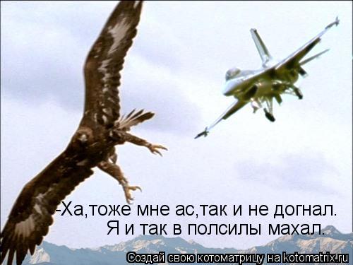 -Ха,тоже мне ас,так и не догнал. Я и так в полсилы махал.... Котоматрица: -Ха,тоже мне ас,так и не догнал. Я и так в полсилы махал.