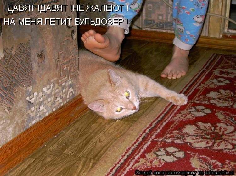ДАВЯТ !ДАВЯТ !НЕ ЖАЛЕЮТ ! НА МЕНЯ ЛЕТИТ БУЛЬДОЗЕР !... Котоматрица: ДАВЯТ !ДАВЯТ !НЕ ЖАЛЕЮТ ! НА МЕНЯ ЛЕТИТ БУЛЬДОЗЕР !