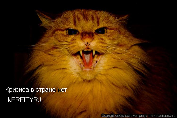 Кризиса в стране нет © kERFITYRJ... Котоматрица: Кризиса в стране нет © kERFITYRJ