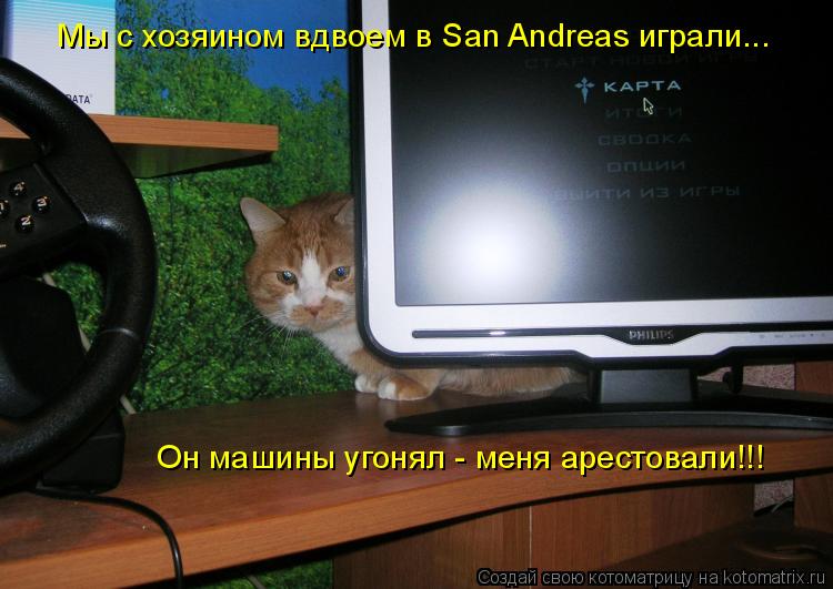 Мы с хозяином вдвоем в San Andreas играли... Он машины угонял - меня арестовали!!!... Котоматрица: Мы с хозяином вдвоем в San Andreas играли... Он машины угонял - меня арестовали!!!