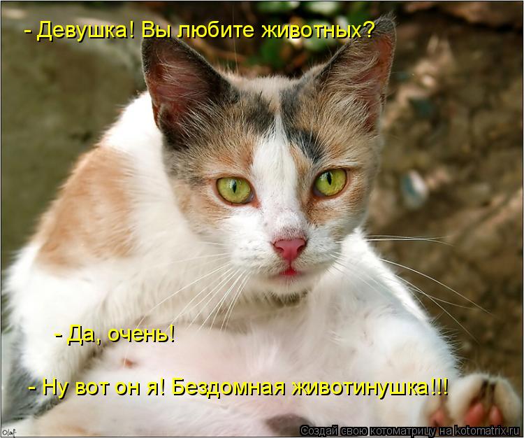 - Девушка! Вы любите животных? - Да, очень! - Ну вот он я! Бездомная животинушка!!!... Котоматрица: - Девушка! Вы любите животных? - Да, очень! - Ну вот он я! Бездомная животинушка!!!