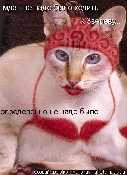 Котоматрица: мда...не надо было ходить к Звереву... определённо не надо было...