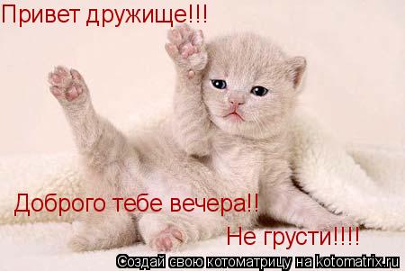 Котоматрица: Привет дружище!!!  Доброго тебе вечера!!  Не грусти!!!!