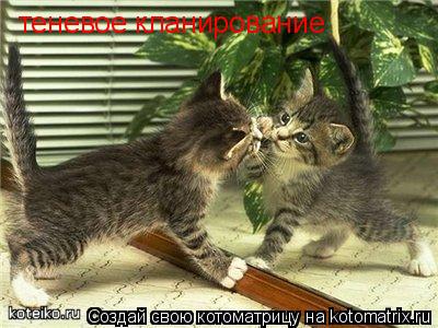 теневое кланирование... Котоматрица: теневое кланирование