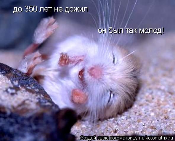 до 350 лет не дожил он был так молод!... Котоматрица: до 350 лет не дожил он был так молод!