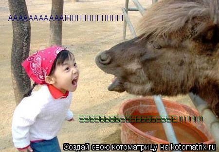 ААААААААААА!!!!!!!!!!!!!!!!!!!!!!!! ББББББББББББББББББЕ!!!!!!!!!!!... Котоматрица: ААААААААААА!!!!!!!!!!!!!!!!!!!!!!!! ББББББББББББББББББЕ!!!!!!!!!!!