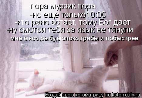 -пора мурзик,пора -но еще только10:00 -кто рано встает, тому Бог дает -ну смотри тебя за язык не тяну... Котоматрица: -пора мурзик,пора -но еще только10:00 -кто рано встает, тому Бог дает -ну смотри тебя за язык не тянули мне мясо,рыбу,молоко,грибы и побыстрее