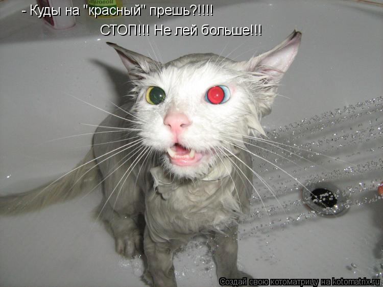 СТОП!!! Не лей больше!!! - Куды на "красный" прешь?!!!!... Котоматрица: СТОП!!! Не лей больше!!! - Куды на "красный" прешь?!!!!
