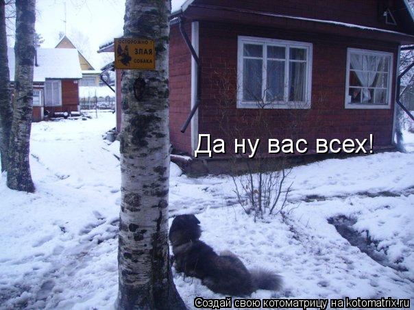 Да ну вас всех!... Котоматрица: Да ну вас всех!