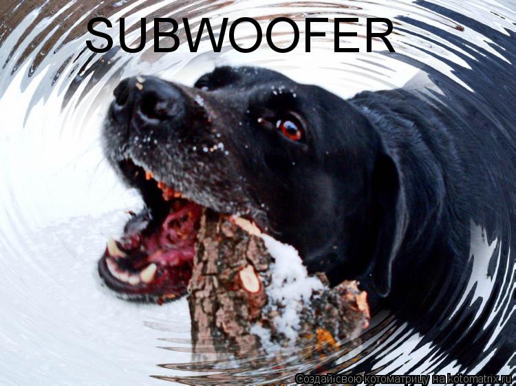 SUBWOOFER... Котоматрица: SUBWOOFER