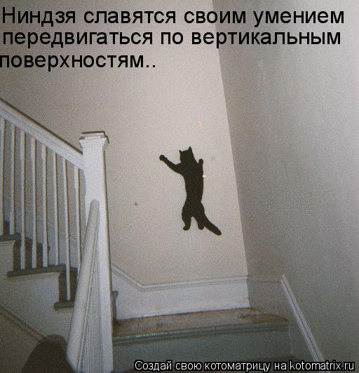 Ниндзя славятся своим умением передвигаться по вертикальным поверхностям..... Котоматрица: Ниндзя славятся своим умением передвигаться по вертикальным поверхностям..