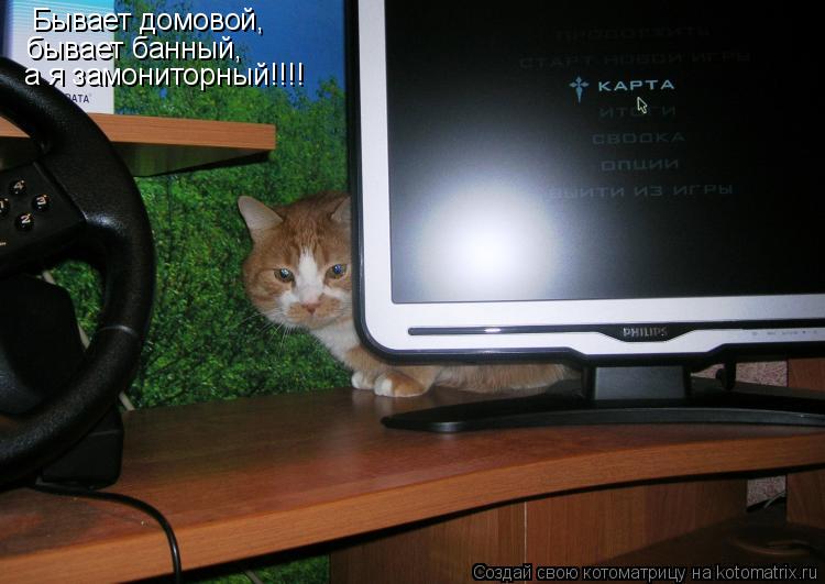 Бывает домовой, бывает банный, а я замониторный!!!!... Котоматрица: Бывает домовой, бывает банный, а я замониторный!!!!