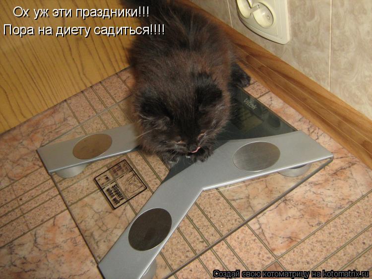 Ох уж эти праздники!!! Пора на диету садиться!!!!... Котоматрица: Ох уж эти праздники!!! Пора на диету садиться!!!!