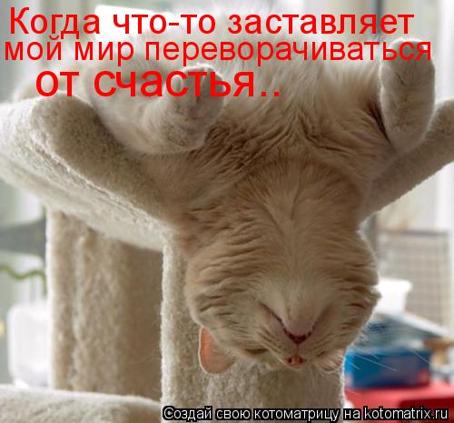 Когда что-то заставляет мой мир переворачиваться от счастья..... Котоматрица: Когда что-то заставляет мой мир переворачиваться от счастья..