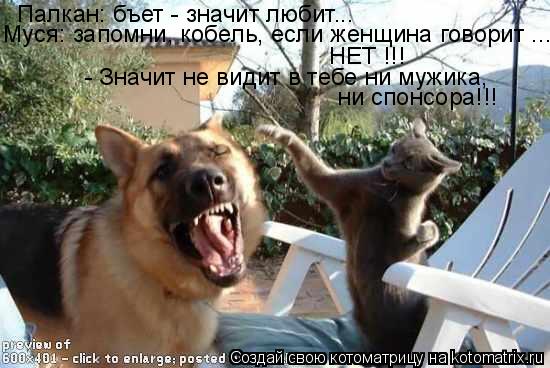 Котоматрица: Палкан: бъет - значит любит... - Значит не видит в тебе ни мужика, ни спонсора!!! Муся: запомни, кобель, если женщина говорит ... НЕТ !!!