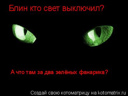 Блин кто свет выключил? А что там за два зелёных фанарика?... Котоматрица: Блин кто свет выключил? А что там за два зелёных фанарика?