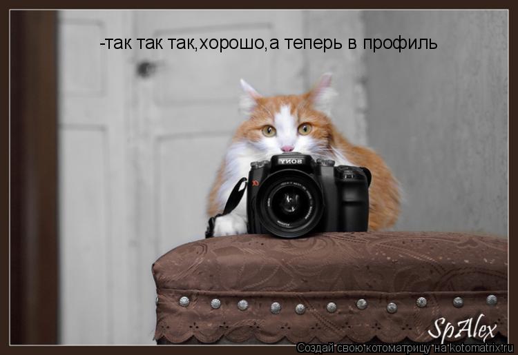 -так так так,хорошо,а теперь в профиль... Котоматрица: -так так так,хорошо,а теперь в профиль