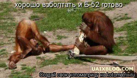 Котоматрица: хорошо взболтать и Б-52 готово