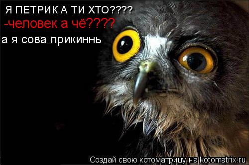 Я ПЕТРИК А ТИ ХТО???? -человек а чё???? а я сова прикиннь... Котоматрица: Я ПЕТРИК А ТИ ХТО???? -человек а чё???? а я сова прикиннь