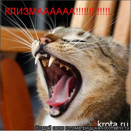 КЛИЗМАААААА!!!!!!!!!!!!!..... Котоматрица: КЛИЗМАААААА!!!!!!!!!!!!!..