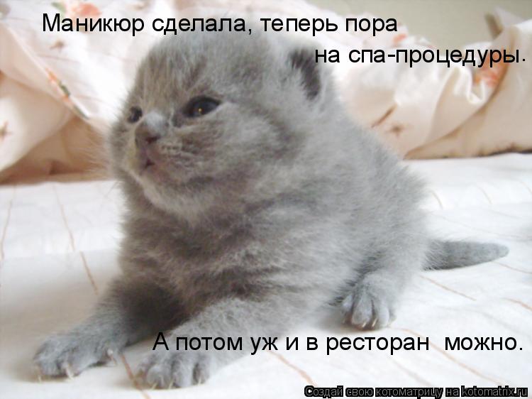 Котоматрица: Маникюр сделала, теперь пора на спа-процедуры А потом уж и в ресторан  можно. .