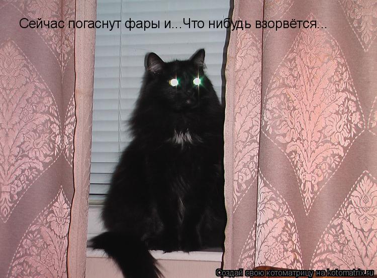 Сейчас погаснут фары и...Что нибудь взорвётся...... Котоматрица: Сейчас погаснут фары и...Что нибудь взорвётся...