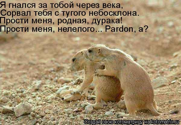 Я гнался за тобой через века, Сорвал тебя с тугого небосклона. Прости меня, родная, дурака! Прости ме... Котоматрица: Я гнался за тобой через века, Сорвал тебя с тугого небосклона. Прости меня, родная, дурака! Прости меня, нелепого... Pardon, а?