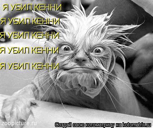 Я УБИЛ КЕННИ Я УБИЛ КЕННИ Я УБИЛ КЕННИ Я УБИЛ КЕННИ Я УБИЛ КЕННИ... Котоматрица: Я УБИЛ КЕННИ Я УБИЛ КЕННИ Я УБИЛ КЕННИ Я УБИЛ КЕННИ Я УБИЛ КЕННИ