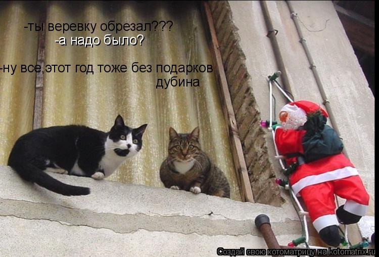 -ты веревку обрезал??? -а надо было? -ну все,этот год тоже без подарков дубина... Котоматрица: -ты веревку обрезал??? -а надо было? -ну все,этот год тоже без подарков дубина