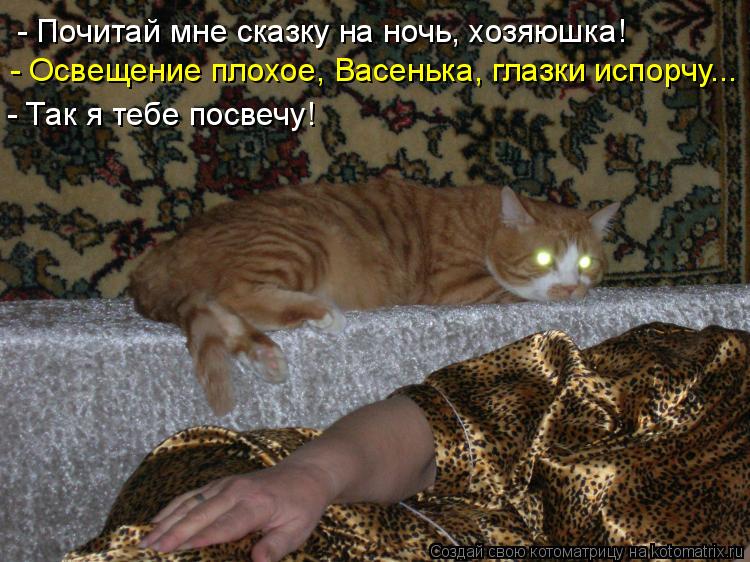 - Почитай мне сказку на ночь, хозяюшка! - Освещение плохое, Васенька, глазки испорчу... - Так я тебе ... Котоматрица: - Почитай мне сказку на ночь, хозяюшка! - Освещение плохое, Васенька, глазки испорчу... - Так я тебе посвечу!