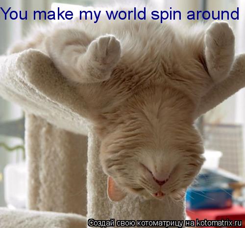 Котоматрица: You make my world spin around