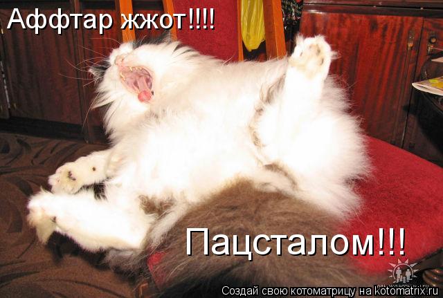 Аффтар жжот!!!! Пацсталом!!!... Котоматрица: Аффтар жжот!!!! Пацсталом!!!