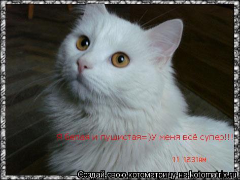 Котоматрица: Я белая и пушистая=)У меня всё супер!!!