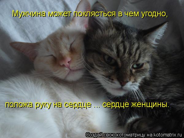 Котоматрица: Мужчина может поклясться в чем угодно, положа руку на сердце ... сердце женщины.