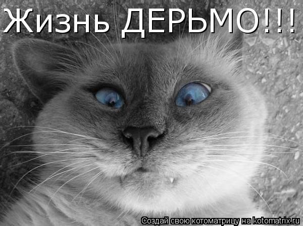 Котоматрица: Жизнь ДЕРЬМО!!!