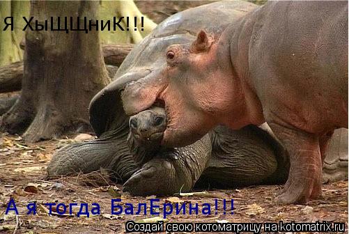 Я ХыЩЩниК!!! А я тогда БалЕрина!!!... Котоматрица: Я ХыЩЩниК!!! А я тогда БалЕрина!!!