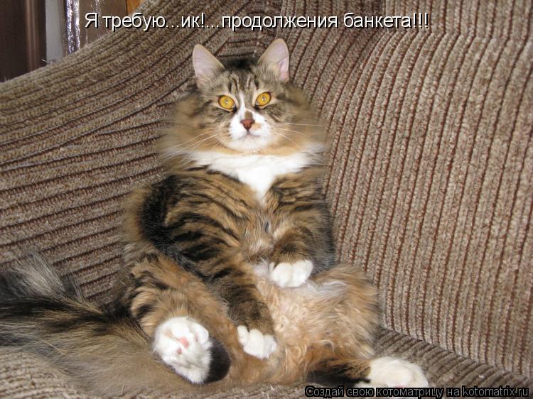 Я требую...ик!...продолжения банкета!!!... Котоматрица: Я требую...ик!...продолжения банкета!!!