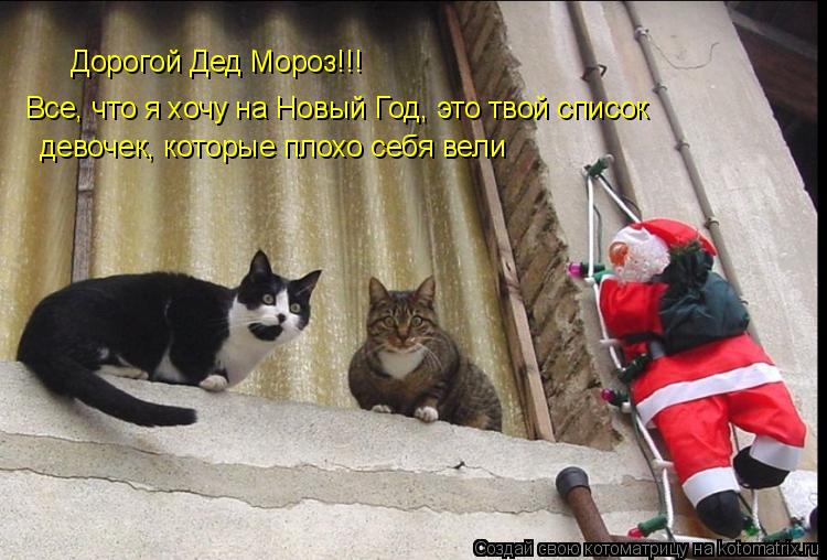 Дорогой Дед Мороз!!! Все, что я хочу на Новый Год, это твой список девочек, которые плохо себя вели... Котоматрица: Дорогой Дед Мороз!!! Все, что я хочу на Новый Год, это твой список девочек, которые плохо себя вели