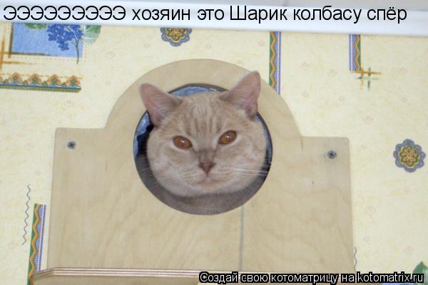 ЭЭЭЭЭЭЭЭЭ хозяин это Шарик колбасу спёр... Котоматрица: ЭЭЭЭЭЭЭЭЭ хозяин это Шарик колбасу спёр