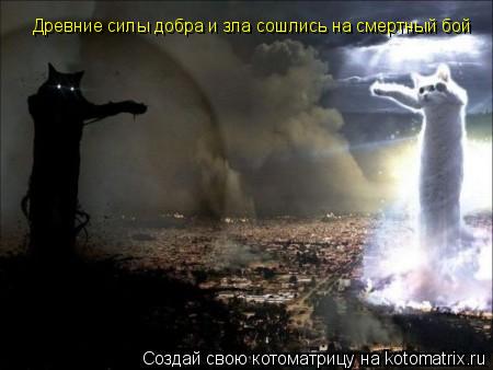 Котоматрица: Древние силы добра и зла сошлись на смертный бой