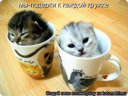 мы-подарки к каждой кружке... Котоматрица: мы-подарки к каждой кружке