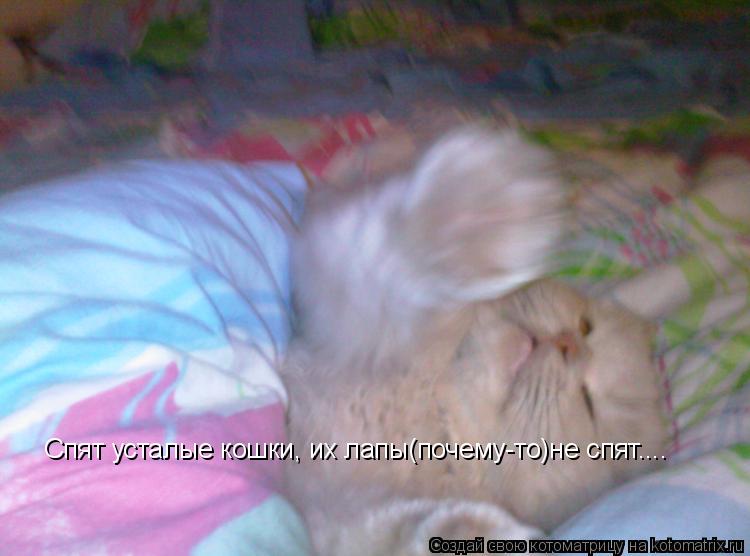 Спят усталые кошки, их лапы(почему-то)не спят....... Котоматрица: Спят усталые кошки, их лапы(почему-то)не спят....